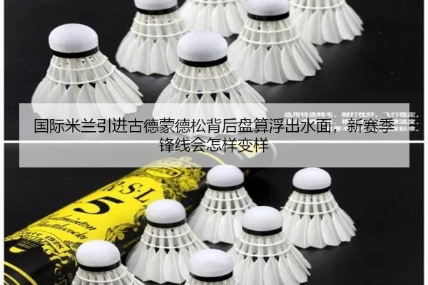 国际米兰引进古德蒙德松背后盘算浮出水面，新赛季锋线会怎样变样 | Sina Sports